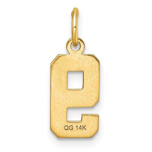 14k Yellow Gold, Varsity Collection, Small D/C Pendant Number 9 - Picture 3 of 5